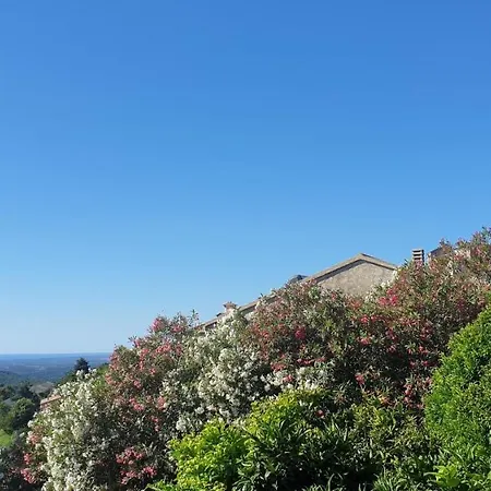 Bed & Breakfast D'hote A Caserella, Maison De Village Renovee Avec Vue Sur