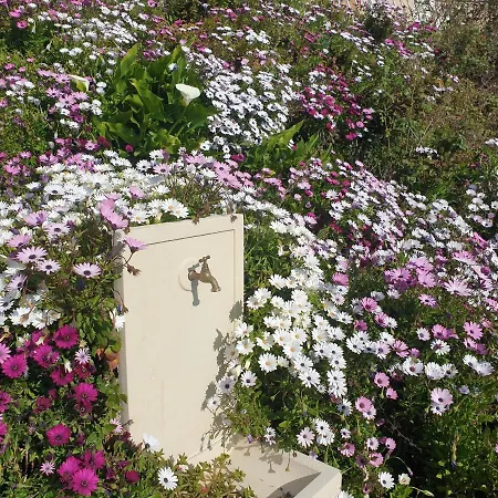 D'hote A Caserella, Maison De Village Renovee Avec Vue Sur 3*