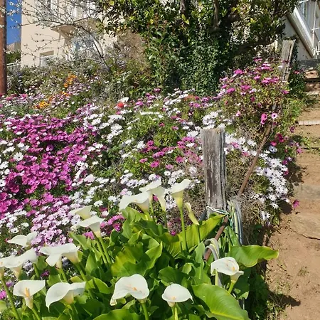 D'hote A Caserella, Maison De Village Renovee Avec Vue Sur Отель типа 