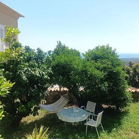 D'hote A Caserella, Maison De Village Renovee Avec Vue Sur فندق مبيت وإفطار Valle-di-Campoloro