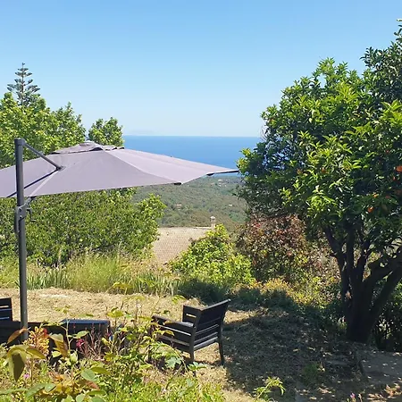 D'hote A Caserella, Maison De Village Renovee Avec Vue Sur Valle-di-Campoloro