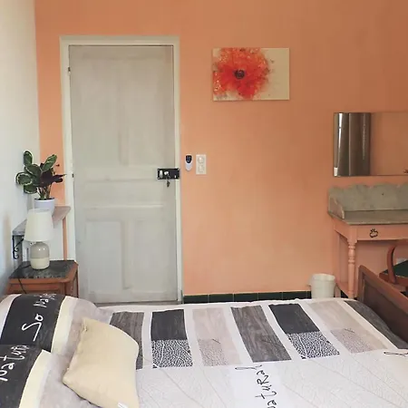Bed & Breakfast D'hote A Caserella, Maison De Village Renovee Avec Vue Sur Valle-di-Campoloro