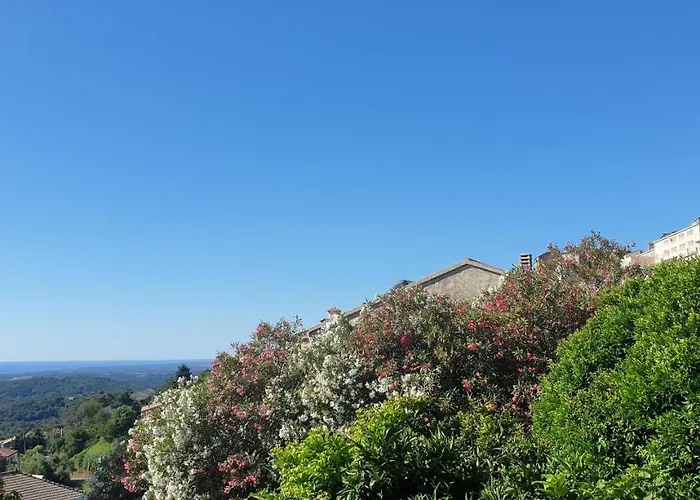 住宿加早餐酒店 D'hote A Caserella, Maison De Village Renovee Avec Vue Sur