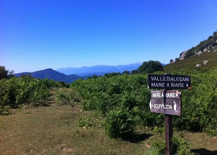 D'hote A Caserella, Maison De Village Renovee Avec Vue Sur 3* Valle-di-Campoloro