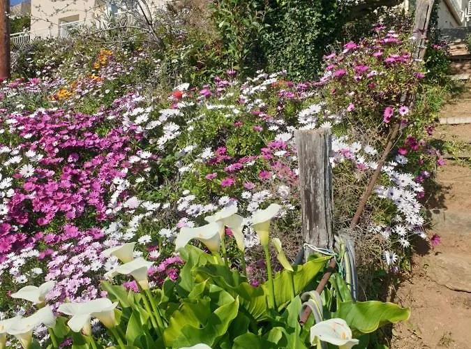 D'hote A Caserella, Maison De Village Renovee Avec Vue Sur 住宿加早餐酒店