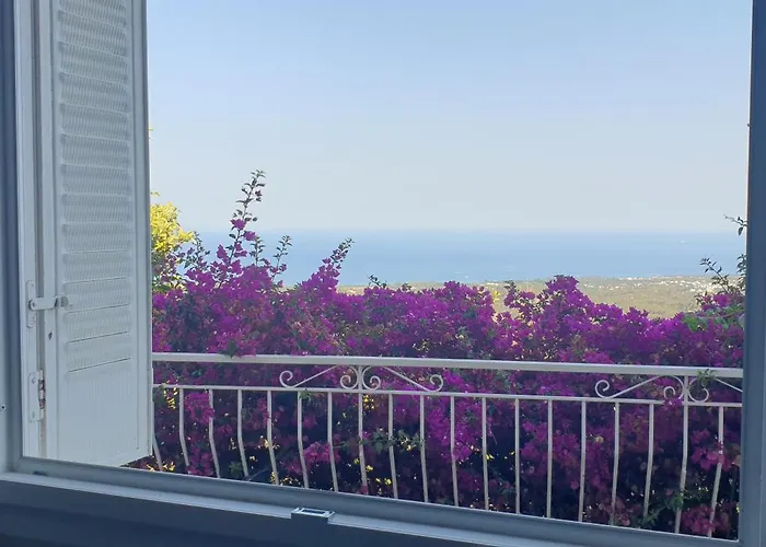 住宿加早餐酒店 D'hote A Caserella, Maison De Village Renovee Avec Vue Sur Valle-di-Campoloro