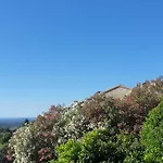 住宿加早餐酒店 D'hote A Caserella, Maison De Village Renovee Avec Vue Sur