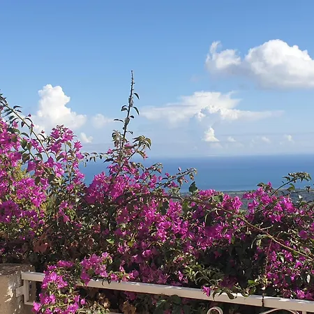 D'hote A Caserella, Maison De Village Renovee Avec Vue Sur 3*