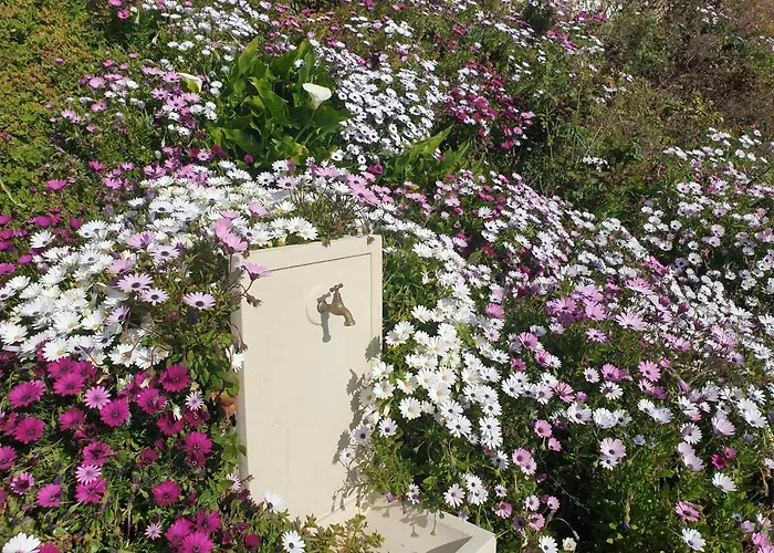 D'hote A Caserella, Maison De Village Renovee Avec Vue Sur 3*