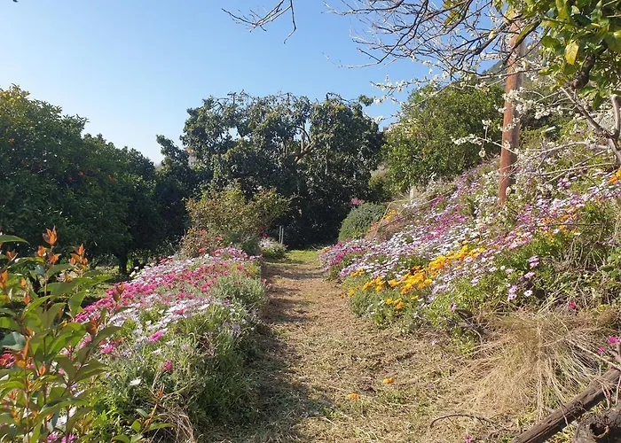 Oda ve Kahvaltı D'hote A Caserella, Maison De Village Renovee Avec Vue Sur