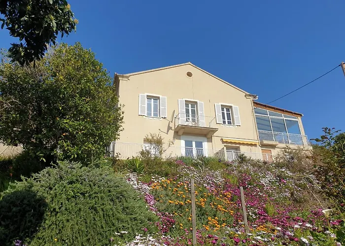 Bed & Breakfast D'hote A Caserella, Maison De Village Renovee Avec Vue Sur Valle-di-Campoloro